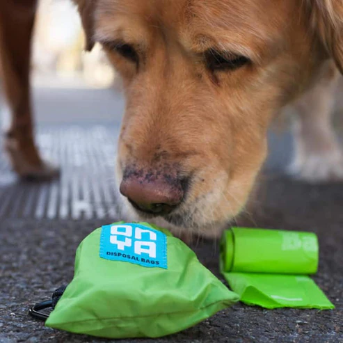 Waste Works Onya Disposable Dog Waste Bags