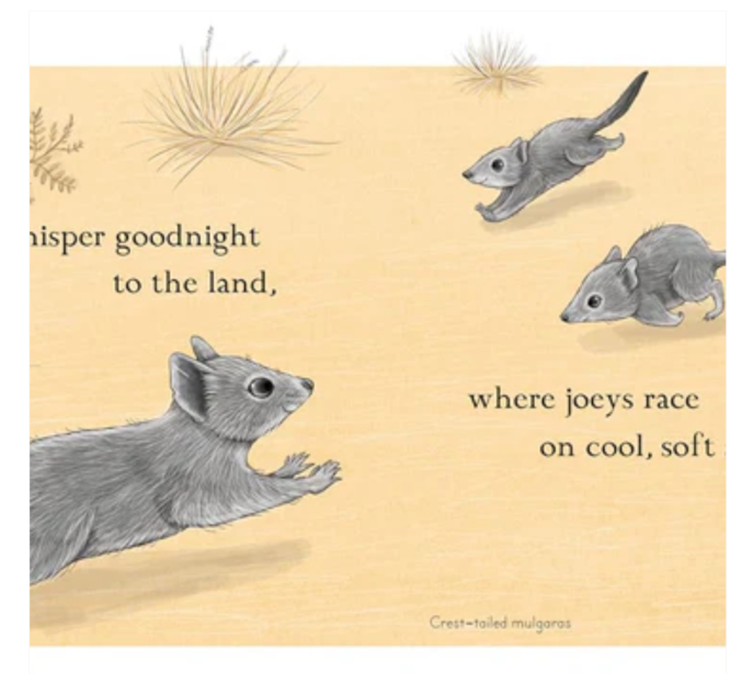 Book- Goodnight Joeys